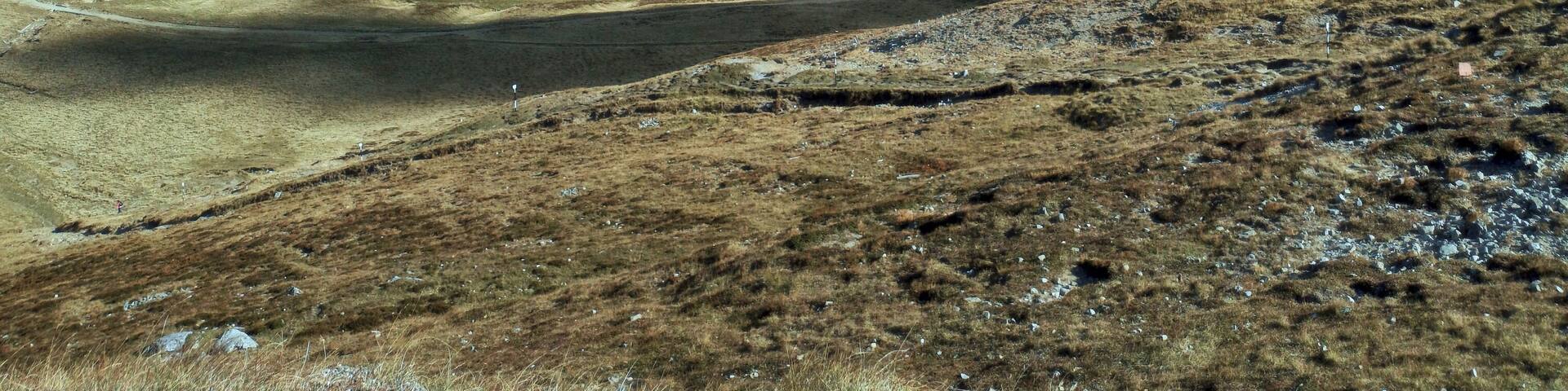 Carpathian Mountains in Romania