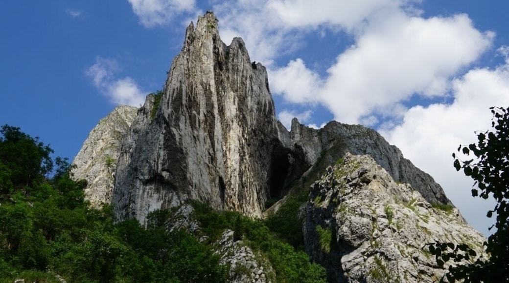Great mountain view in Romania