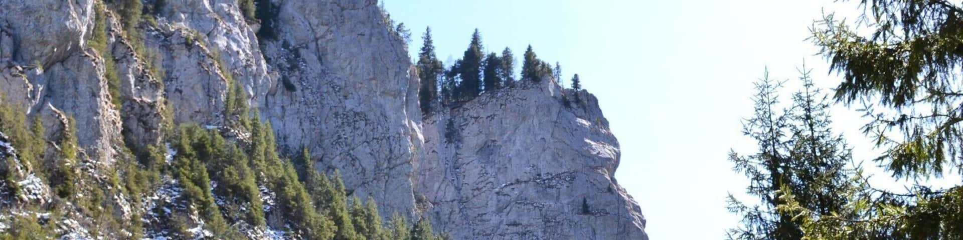 A light walk in the mountains during a sunny spring day.
