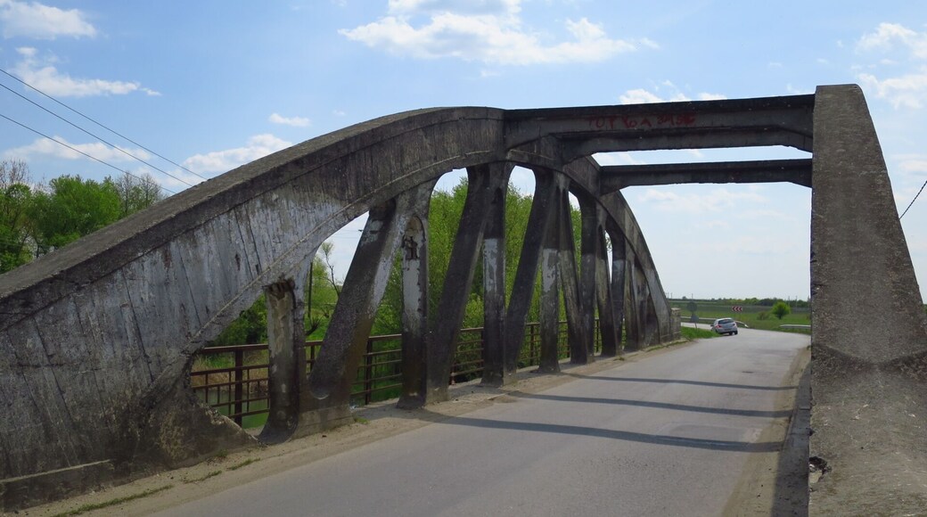 The Old Bridge crossing Bega River swamps
#TakeAHike