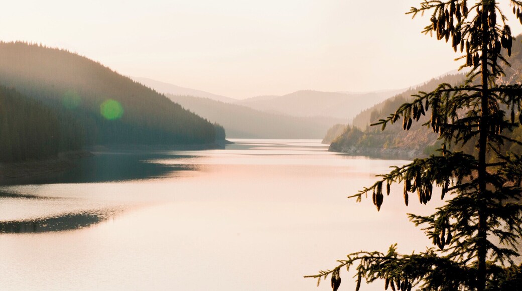 "Şi, chiar dacă ceea ce vedeam desfăşurându-se prin faţa ochilor mei era foarte frumos şi m-am simţit din nou mândră că toate acestea se petrec în ţara mea, factorul wow! lipsea. L-am întâlnit de-abia spre final, când am văzut soarele pregătindu-se să apună peste Lacul de Acumulare Oaşa... am zăbovit preţ de câteva minute acolo, pentru a lăsa natura să mă reîncarce, apoi am continuat lungul drum spre casă."
#waterlust
