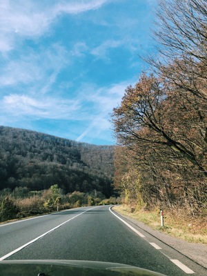 #autumn