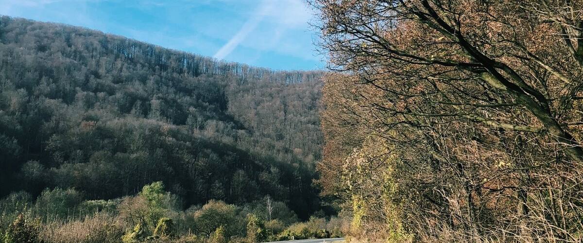 A two-lane road curving through a forested area with hills in the background.