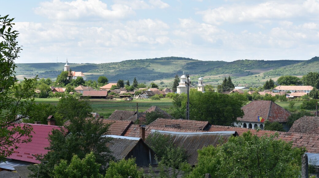 A rural village with traditional houses, a church, and rolling hills in the background.