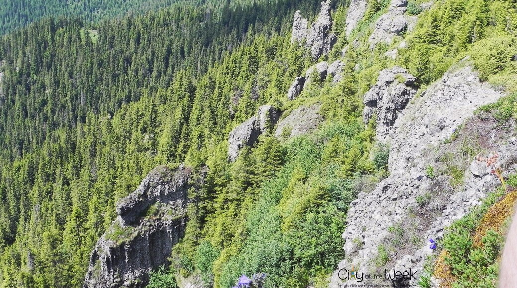 Awesome view from Tihu Peak, Calimani Mountains, Romania!
http://wp.me/p1hz24-Sk
Calimani #NationalPark, Romania! - #hiking