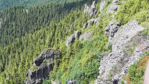 Awesome view from Tihu Peak, Calimani Mountains, Romania!
http://wp.me/p1hz24-Sk
Calimani #NationalPark, Romania! - #hiking