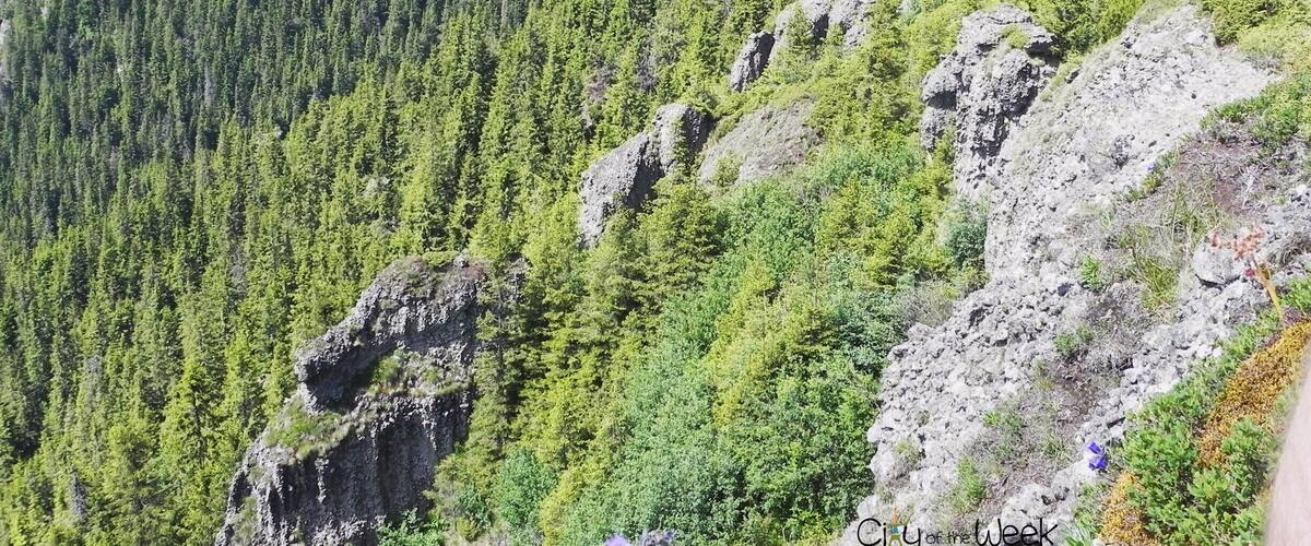 A mountainous landscape with dense forests and rocky outcrops.