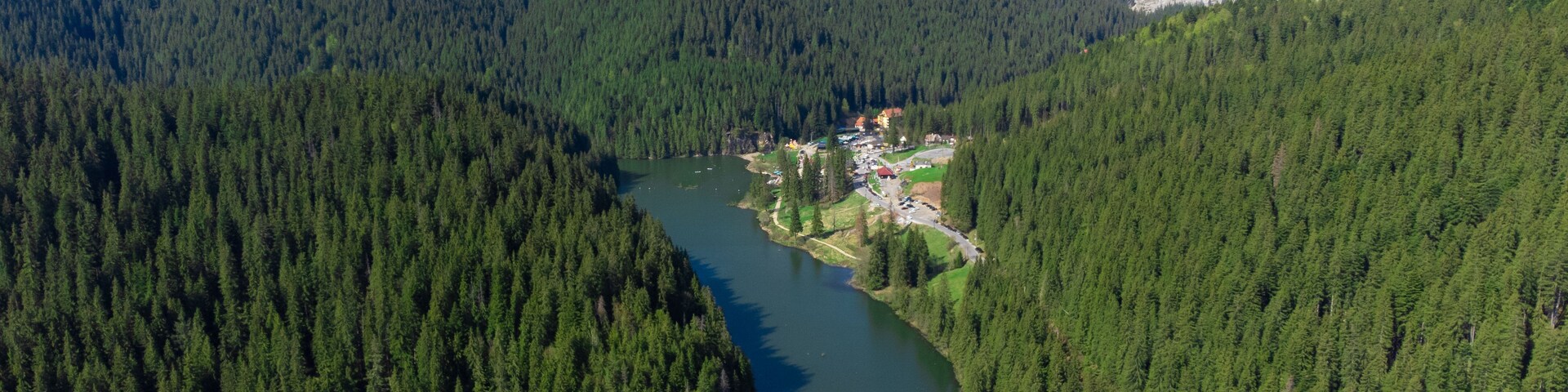 A river winding through a dense forest with a mountain in the background.