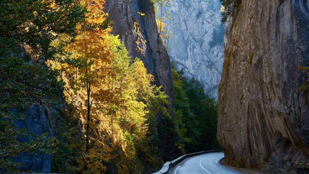 A winding road through a canyon with autumn foliage.