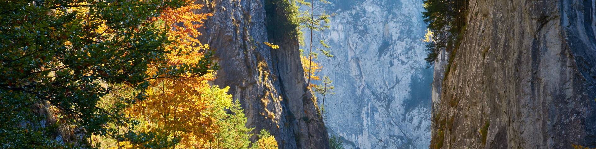 A winding road through a canyon with autumn foliage.