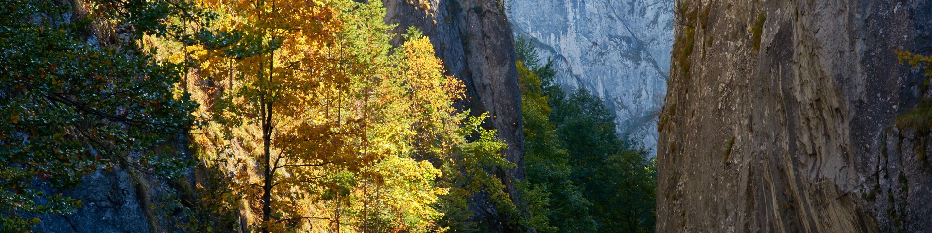 Une route sinueuse qui traverse un canyon aux couleurs automnales.