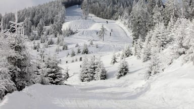 A snowy mountain landscape with a ski slope, trees, and a clear sky.