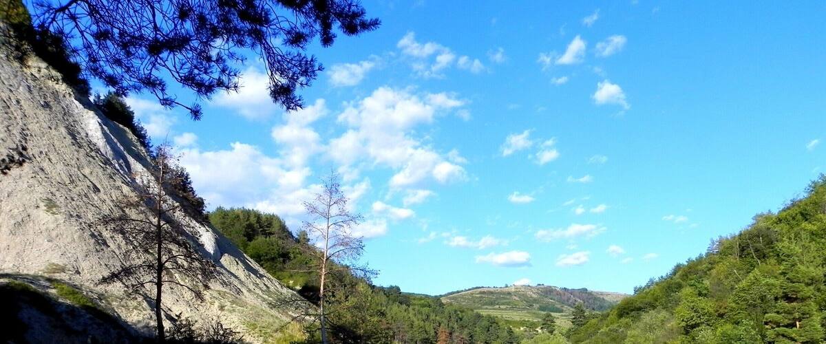 A mountainous landscape with a clear sky, rocky cliffs, and dense forest.