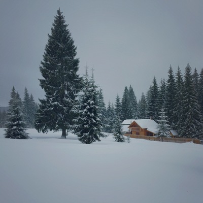 Bucin - on the mountain road connecting Transylvania to Moldavia. Perfect for hiking skiing and family activities in summer