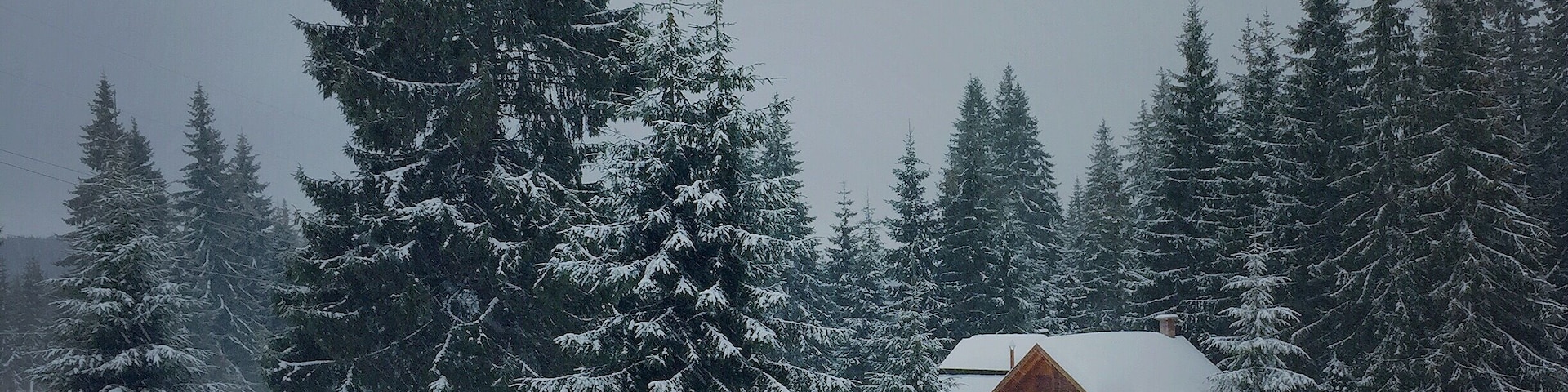 Bucin - on the mountain road connecting Transylvania to Moldavia. Perfect for hiking skiing and family activities in summer