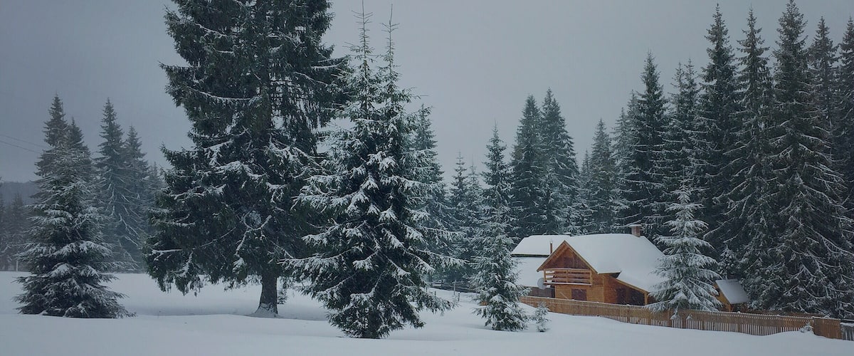 A snow-covered landscape with a wooden cabin and evergreen trees.