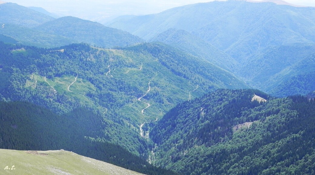 view from Transalpina - the tallest scenic road in Romania! http://wp.me/p1hz24-xn