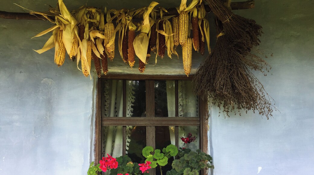 One of the culturally-richest village life museums in Romania; actually, a subdivision of 'Dimitrie Gusti' National Village Museum in Bucharest.
The setting of the museum is also fabulous!
#Culture