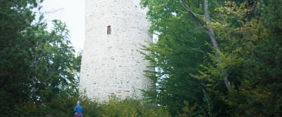 A stone tower with a conical roof surrounded by trees.