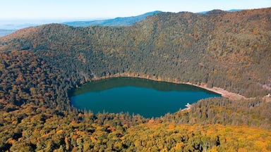 Un lago rodeado de bosque denso con follaje otoñal.