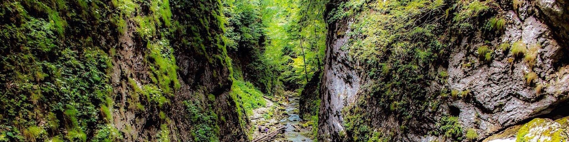 A narrow canyon with a flowing river and a waterfall.