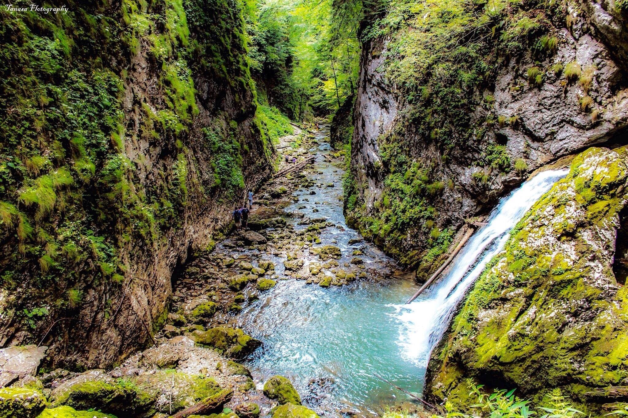 A narrow canyon with a flowing river and a waterfall.