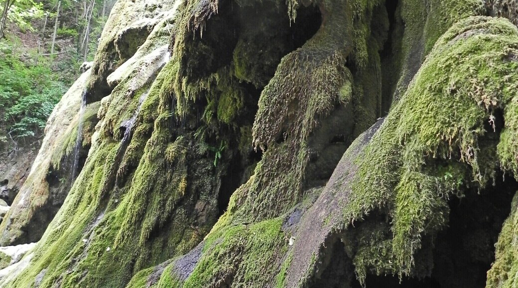 The spectacular Beusnita falls- during a period of drought http://cityoftheweek.net/2016/02/05/nera-valley-highlights/