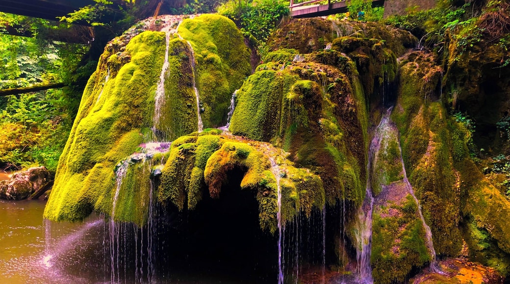 Bigar Waterfall 😍 Romania 🇷🇴