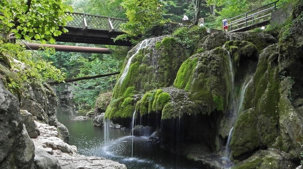 Bigar Falls, Romania!
http://wp.me/p1hz24-1mB