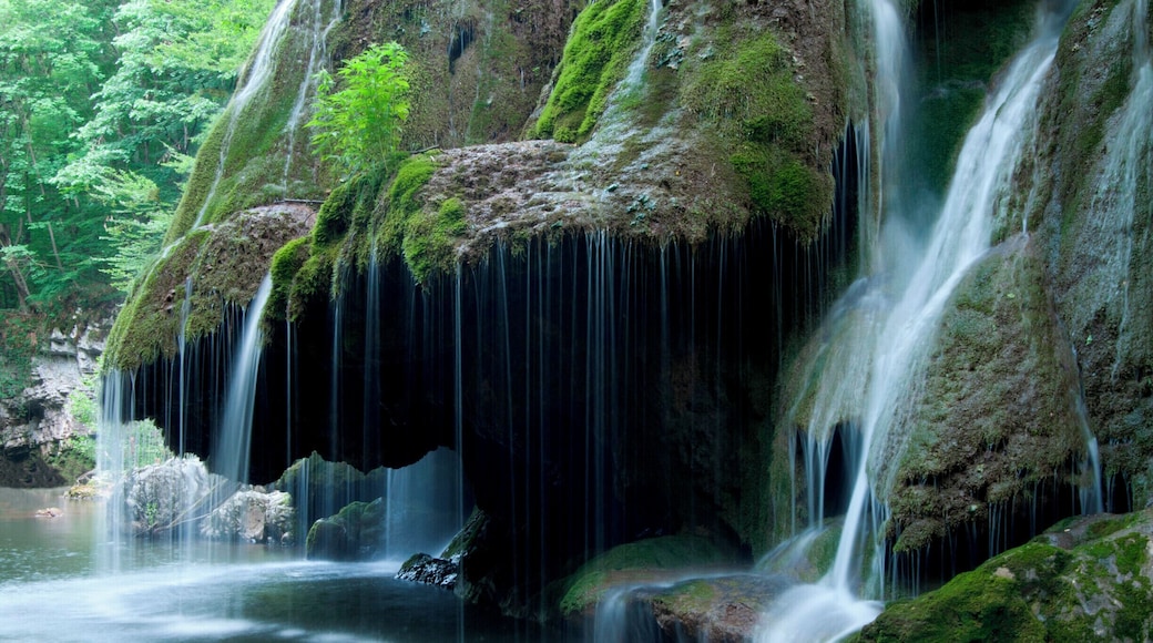 'Located on the 45th parallel north, Bigăr Waterfall is extremely delicate and unusual, with a water curtain falling down some lush green vegetation, and is set in a very remote, peaceful, and picturesque area of Romania, where the rolling hills create a real fascination for the authenticity of our nation’s past. On our way back to the main road, we made another detour to see the water mills at Eftimie Murgu, some of them still functional, and smell the freshly ground cereal grains.'
#waterlust