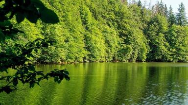 The 50 shades of green, the silence and the luxuriant forest will get you hooked.