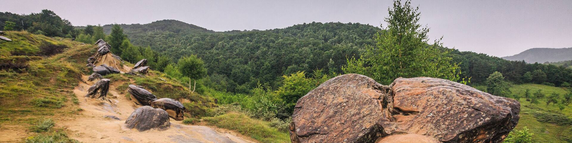 Trovants are composed of a hard stone core but their shells are made of sand, as most examples have been found in sandy regions. Geologists argue that the rocks are the result of a cementation process that occurred millions of years ago in this region and it is somehow accepted that their creation has its roots in the early diagenesis.
Not long after the last drops of water fall, they begin a multiplication process. Small oval or round forms appear on the upper part of them. Many people are amazed and even locals are impressed when after heavy rainfall these rock formations begin to ‘live.’ Locals have named them the “growing stones.” #Adventure