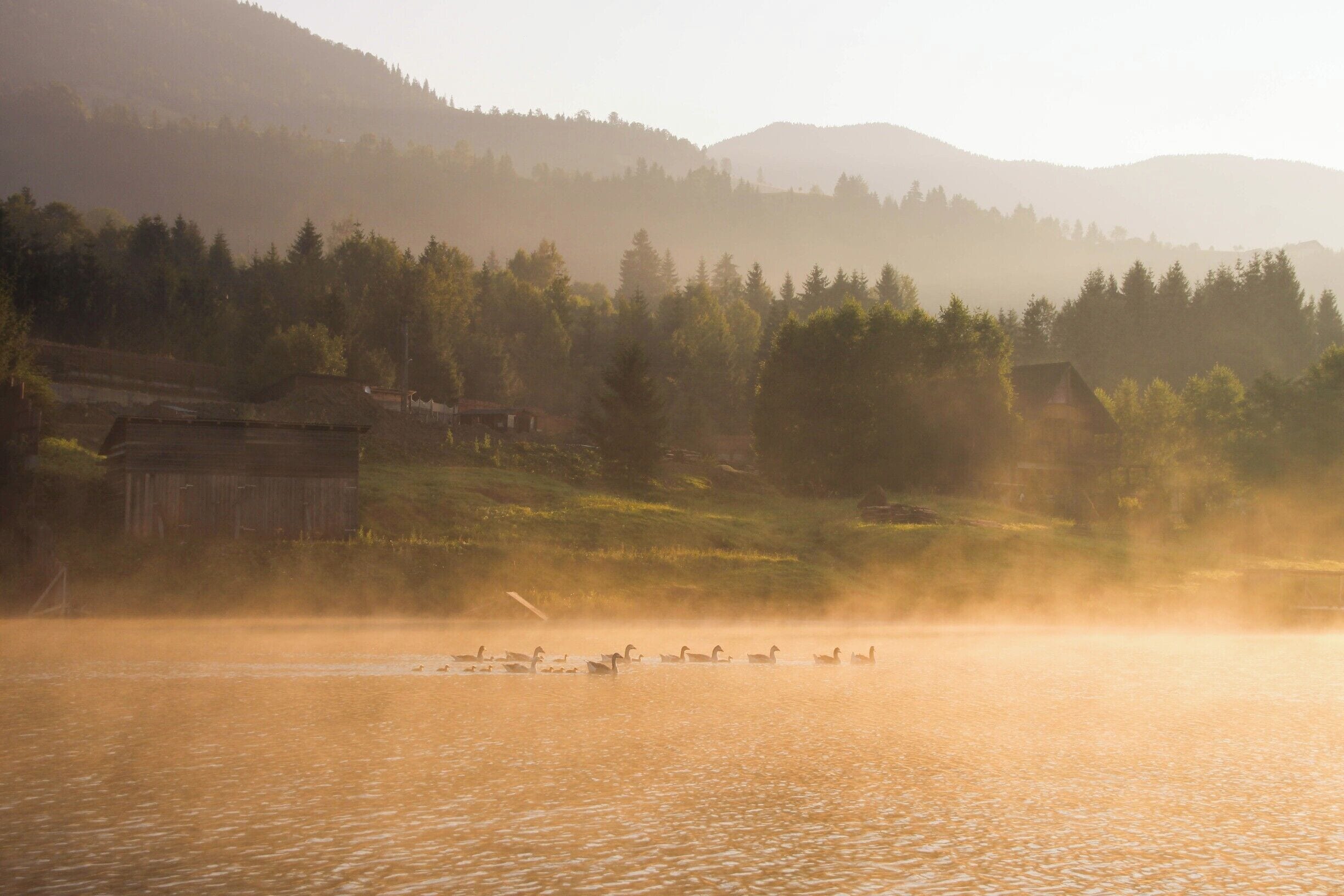 Pristine 6:30 AM view