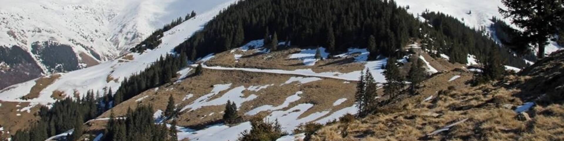 Adventures in the Rodna National Park
http://www.cityoftheweek.net/2016/04/22/almost-missed-best-winter-hike-ever/