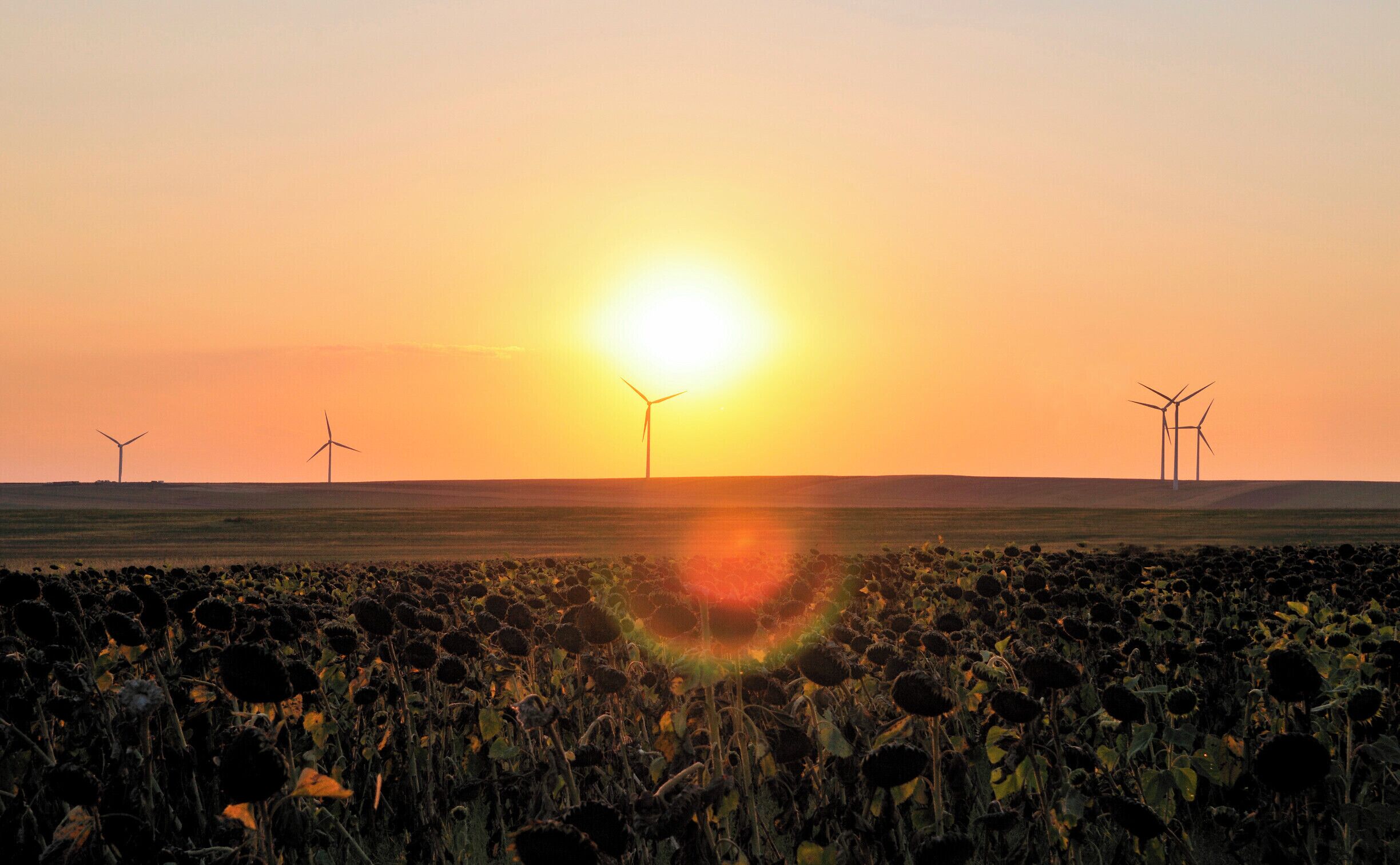 'The journey to Braşov continued and I didn’t expect for the road to Hârşova to amaze me so! The rolling hills in colours ranging from shades of brown and red to an almost incredibly end-of-May green hosting the occasional cow and goat herds and one incredible and long sunset made it one of my most memorable experiences on the road in Romania! I was in love with this part of Dobruja, one I had never taken the time or given the chance to explore!'
#GoldenHour