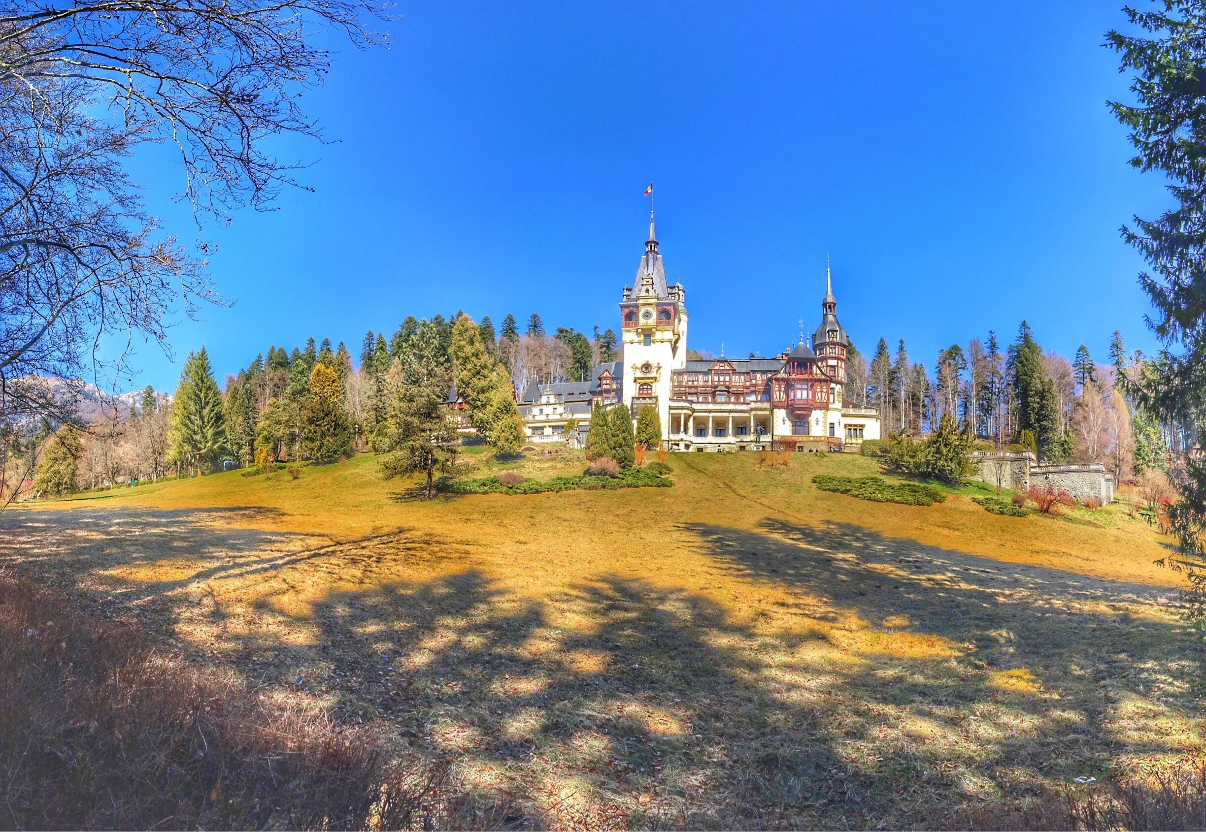 A large historic building with a prominent tower, surrounded by a forested hillside.