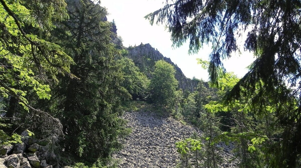 An extraordinarily beautiful volcanic formation with basalt columns in Romania!
For details on how to get there go to http://wp.me/p1hz24-17U