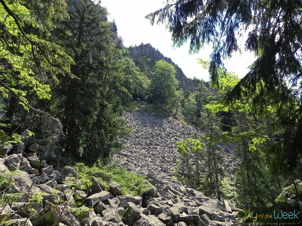 A rocky terrain with dense forest and a mountain in the background.