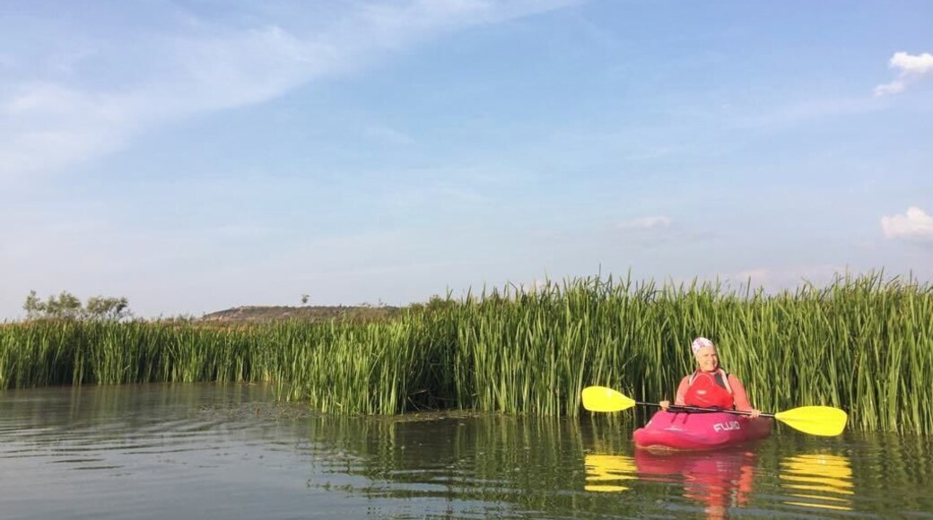 I always wanted to paddle Siret River... and I was right! I had a beautiful time on water, around Orbeni - there are many birds and the peacefulness is omnipresent.
#waterlust