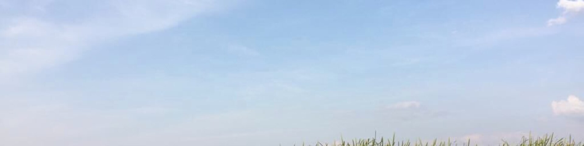 I always wanted to paddle Siret River... and I was right! I had a beautiful time on water, around Orbeni - there are many birds and the peacefulness is omnipresent.
#waterlust