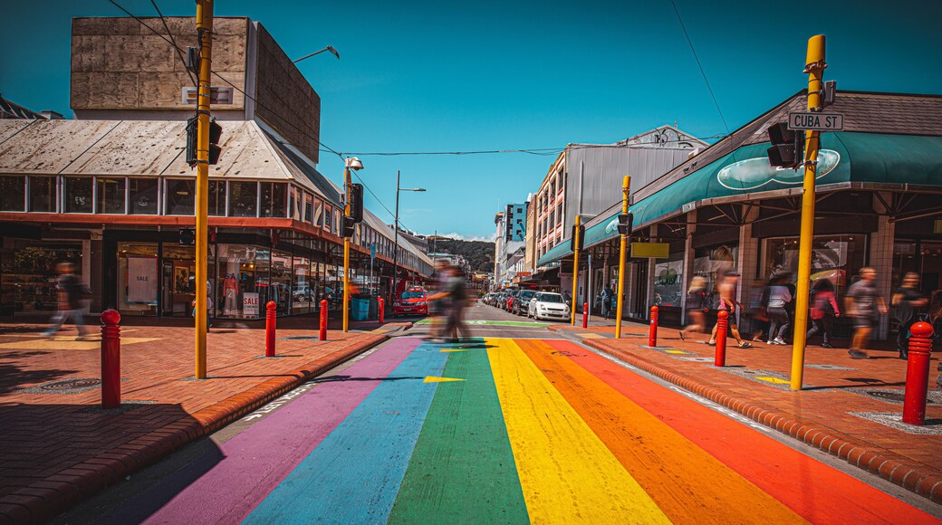 Landscape of Cuba Street, Wellington, New Zealand