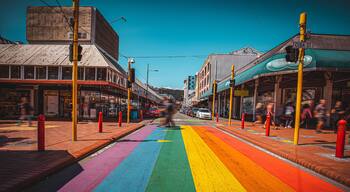 Te Aro