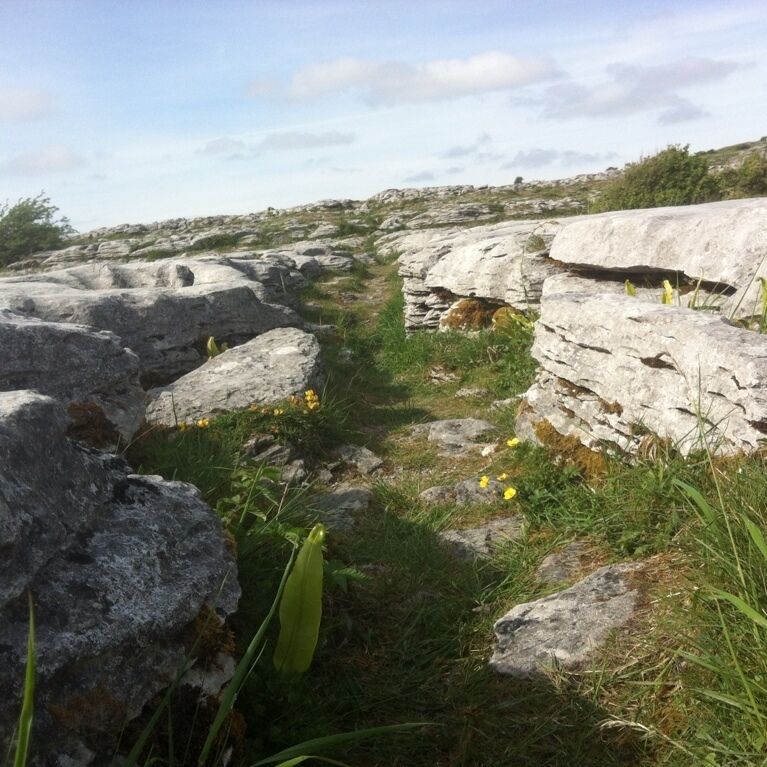 A rocky landscape with large boulders and sparse vegetation.