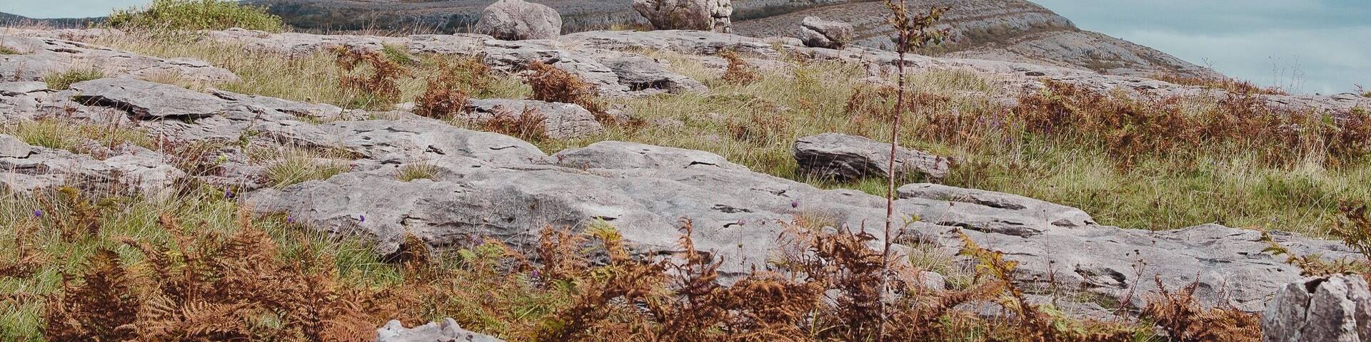 Awesome hike. Way more challenging than expected but amazing views from the top.