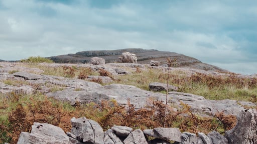 Awesome hike. Way more challenging than expected but amazing views from the top.