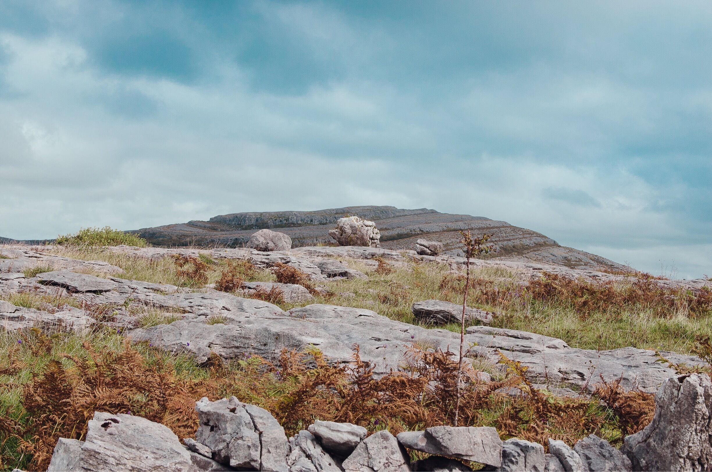 A rocky landscape with a hill in the background.