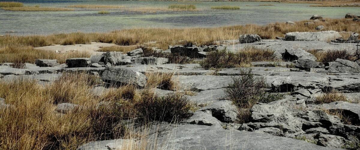 Lough Gealán, with Mullach Mor as a backdrop, forms the heart of the Burren National Park. This is karst landscape at its best, and is of inordinate conservation value. The landscape is strange, the longer you spend in it, the more captivated you become. I lived here for seven years, and still regard it as the most wonderful part of Ireland. #NationalPark