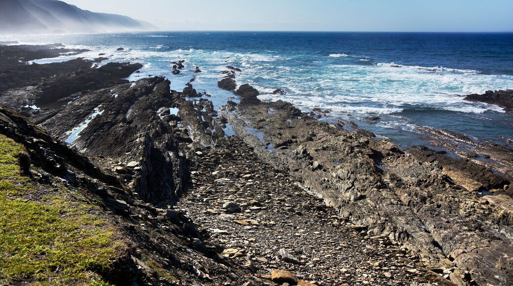 ์ฝ์ฐ ์นด๋ง