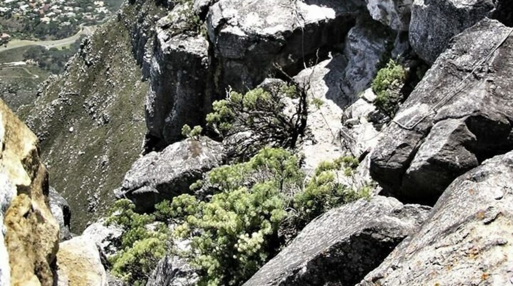 Rock climbing anyone?
From here down one gets an awesome view of city of Capetown. There are also a few trails to hike on if you have the time! I love it up here!
#nationalpark
#mountain