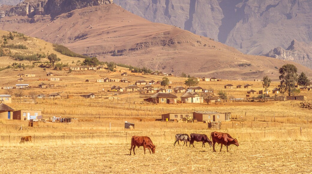 Rural Landscape Near Royal Natal National Park